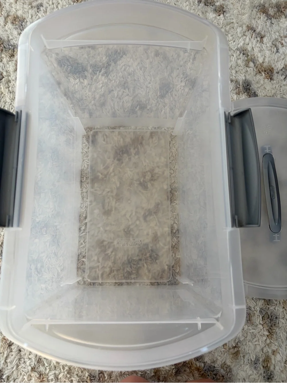 Sterilite Clear Plastic Storage File Container with Gray Lid Handle